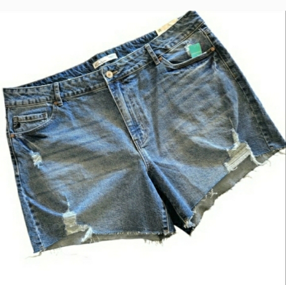 Kancan Jean Shorts Stretch Denim Plus Size 14 XL Blue 💙 NEW - Picture 2 of 7